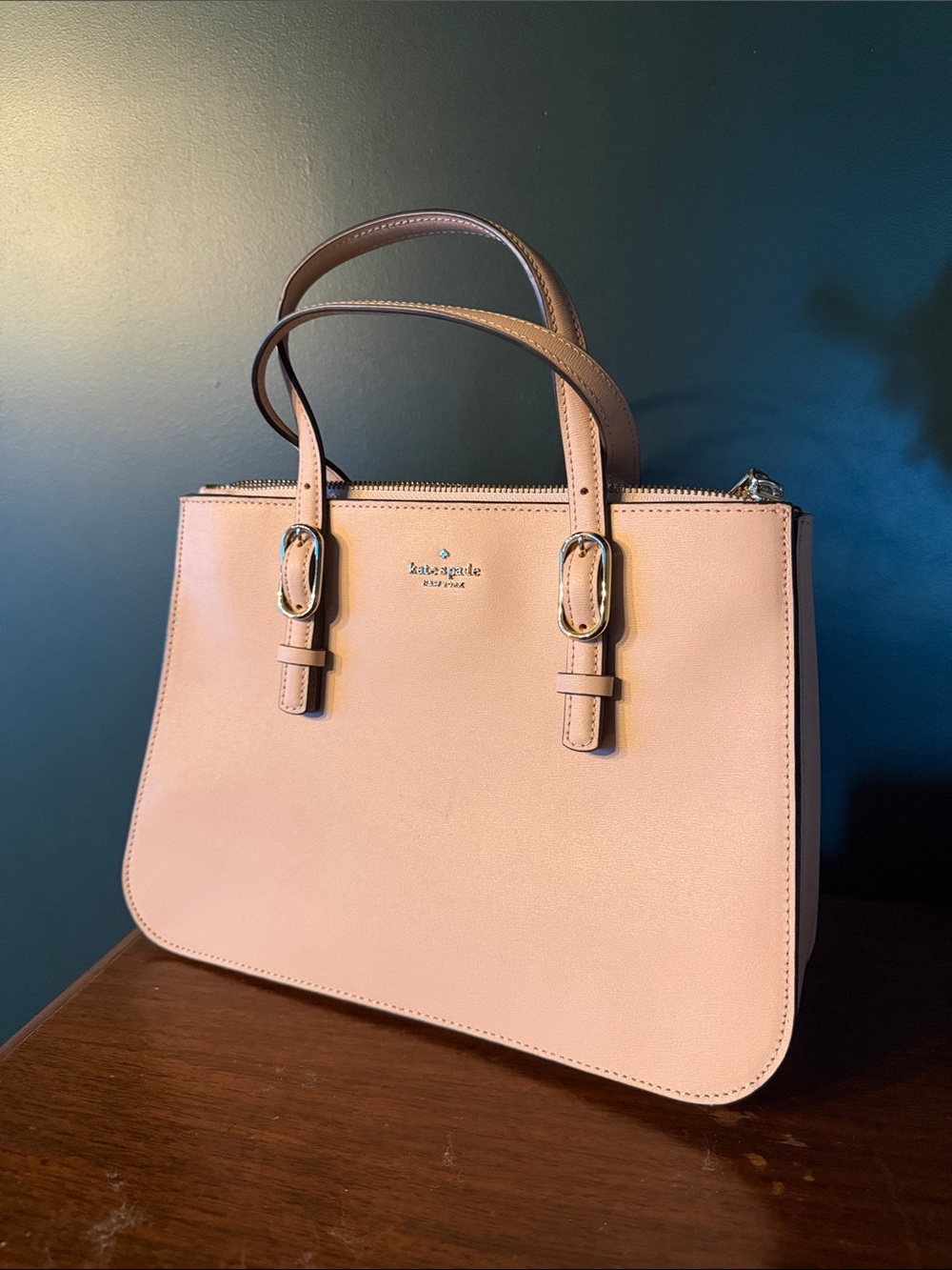 kate spade Blush Leather Satchel